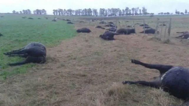 Ocurrió en Rincón de Nogoyá