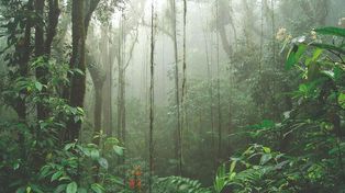Costa Rica, líder ambiental