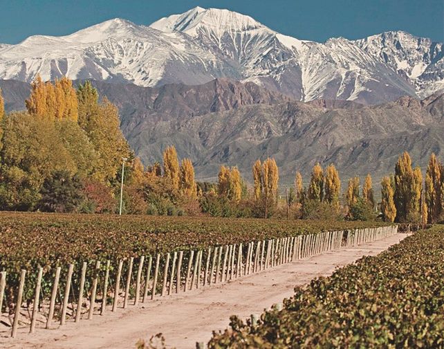 El Valle de Uco es una región ubicada al sudoeste de la ciudad de Mendoza, conocida por sus viñedos y la producción de vinos de alta calidad.