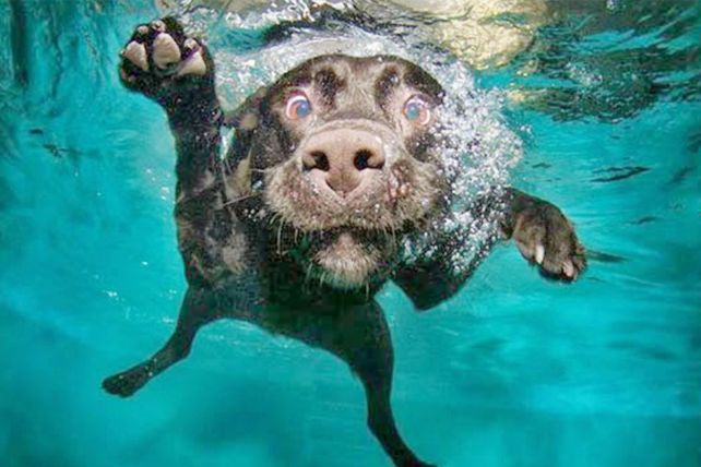 Diversión bajo el agua