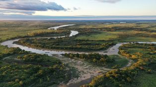 Jaaukanigás es un humedal ubicado en el río Paraná Medio, al noreste de la provincia de Santa Fe.