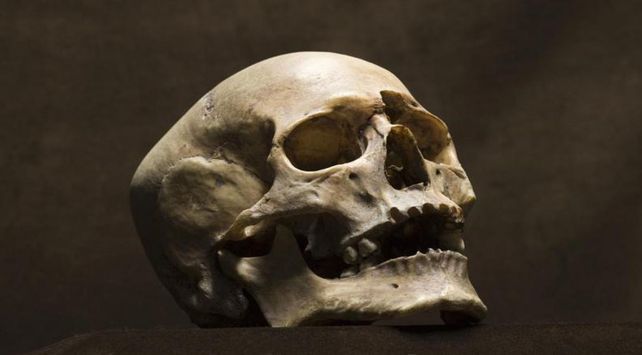 Encontraron un cráneo humano debajo del puente carretero