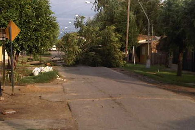 Llegó la lluvia y provocó destrozos: sigue el alerta por tormentas fuertes