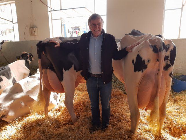 José Bahillo con las vacas campeonas