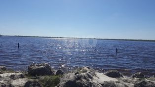 El norte provincial sigue en emergencia: “Hay muchísima más agua que la otra vez”