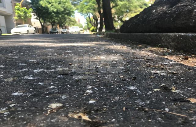 Calle 4 de Enero