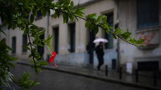 Una jornada pasada por agua en Rosario.