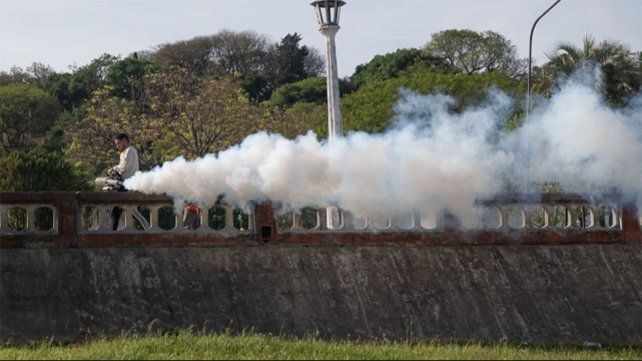 Desde la Municipalidad de Paraná dieron a conocer el cronograma de fumigación contra los mosquitos comunes