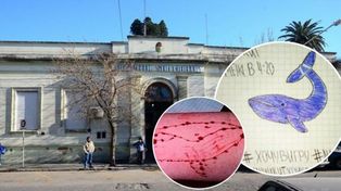 Macabro. El juego se cobró cientos de víctimas en el mundo.
