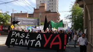 Autoconvocados reclaman el pase a planta