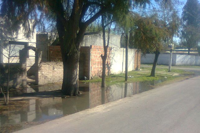 Barrio Alfonso: vecinos de la zona denuncian el ingreso de líquidos cloacales a sus casas
