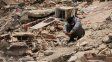 Venezuela sufrió más de 600 réplicas desde el doble terremoto del miércoles
