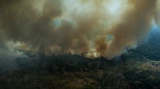 Recuperar el ecosistema llevará de 200 a 500 años