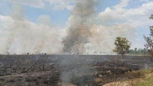 Un viejo molino, lo único que sobrevivió en el incendio entre Correa y Carcarañá.