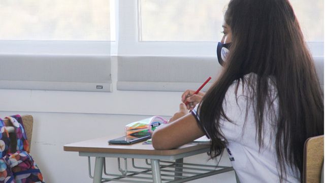 La Universidad Nacional de Rosario puso en marcha 33 carreras durante la pandemia