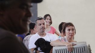 Llevan adelante una jornada especial de castración