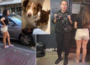 Rosario: detuvieron a la dueña del perro muerto en el auto