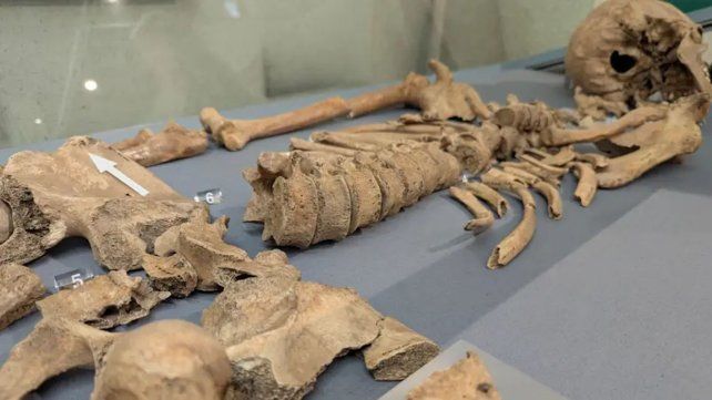 Por primera vez, hay evidencia arqueológica de un combate entre un gladiador y un león