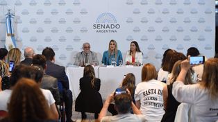 La senadora por Santa Fe Carolina Losada encabezó una jornada de debate sobre su proyecto contra las denuncias falsas de violencia de género y abuso.&nbsp;
