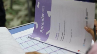 Los exámenes Aprender 2023 dieron resultados mixtos.&nbsp;