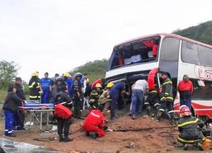 Un colectivo se quedó sin frenos en una bajada y un terraplén los salvó
