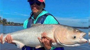 Preocupa el avance de peces carpas exóticas sobre el río Uruguay