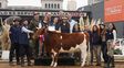 El ganado criollo patagónico dijo presente en La Rural