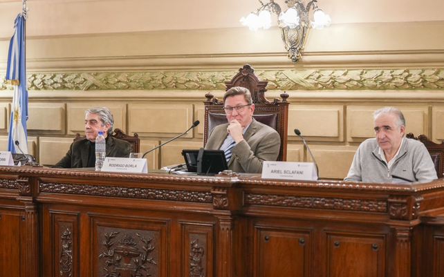 Avanzaron los acuerdos políticos en la comisión que preside Rodrigo Borla. 