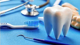 La generación de dientes nuevos, avances de investigadores de Japón