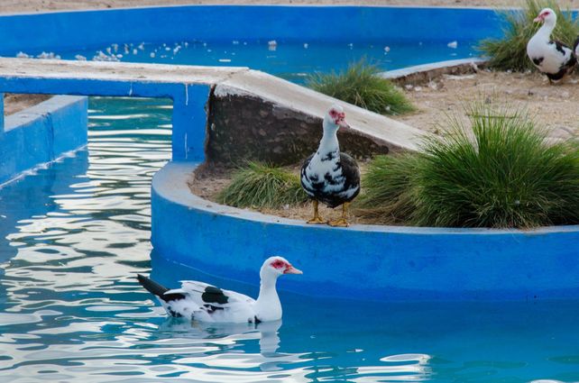 Villa Gobernador Gálvez inicia el domingo la temporada Verano 2025 en el Parque Regional