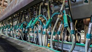 Financiamiento. Uno de los primeros créditos otorgados con garantía sindicada fue para el Establecimiento Agropecuario Don Ángel de la localidad de Sastre.