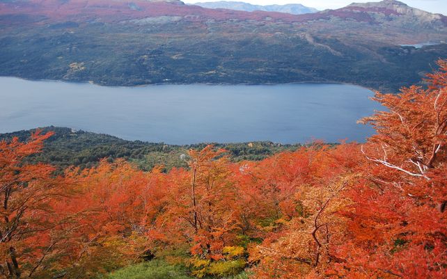 Cómo es el Parque Nacional Los Alerces que fue declarado Patrimonio Natural por la Unesco