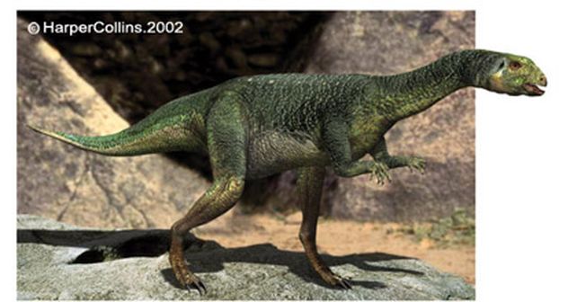 Subastan en Nueva York restos de un dinosaurio de 150 millones de a&ntilde;os