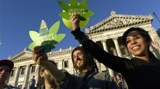 Aseguran que cada vez más argentinos traen marihuana del Uruguay