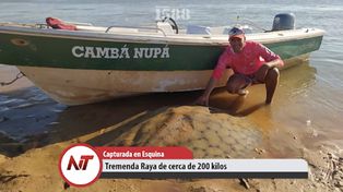 Pescadores sacaron una raya gigante del Paraná en Corrientes