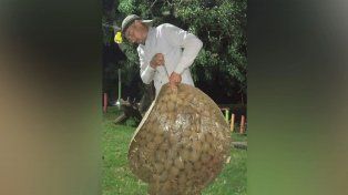 En Puerto Ibicuy pescaron una raya de 48 kilos.&nbsp;