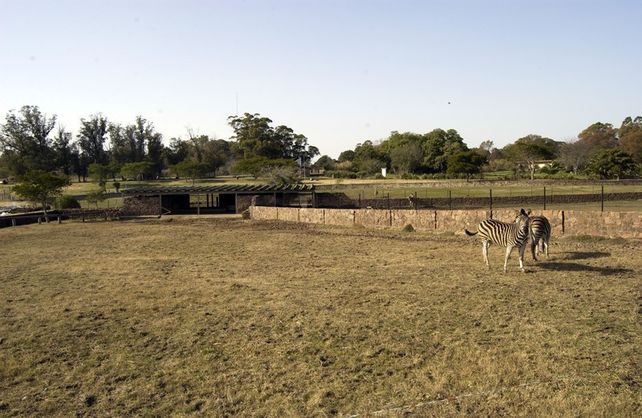 Parque Lecoq.