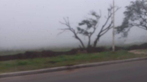 Entre Ríos: el SMN emitió una alerta violeta por presencia de bancos de niebla