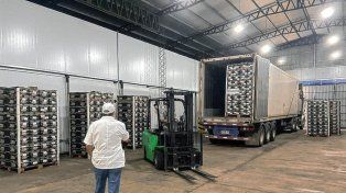 Entre Ríos exporta por primera vez naranjas frescas a Ecuador