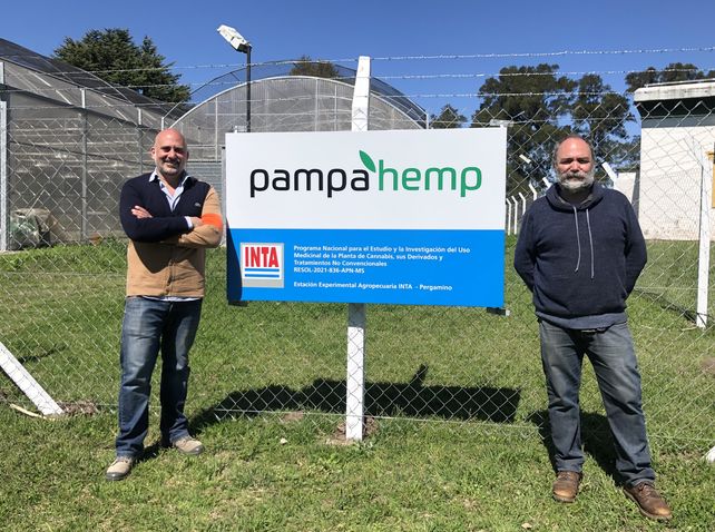 La semana que viene saldría la ley de producción industrial de cannabis medicinal