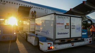 Covid: Argentina superará en las próximas horas los 30 millones de dosis