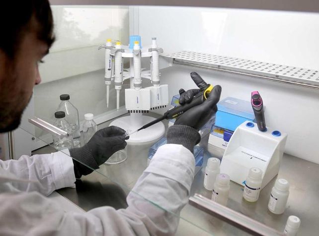 Científicos del Conicet crearon un método rápido para diagnosticar el coronavirus