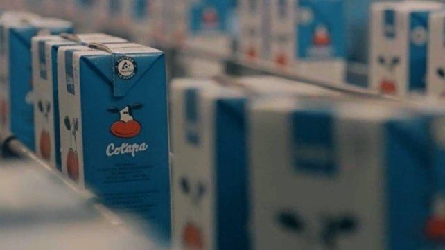 Cotapa