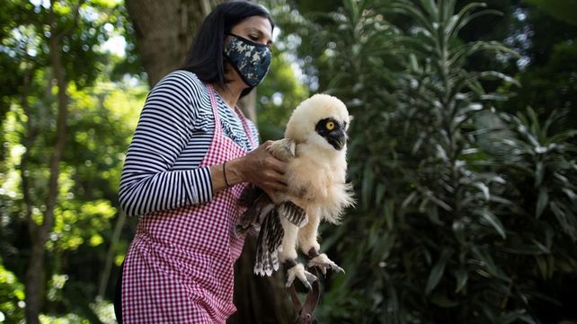 Veinte imágenes del miércoles en un mundo en crisis por el coronavirus