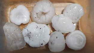 En varias zonas de la ciudad el tamaño del granizo fue muy importante.&nbsp;