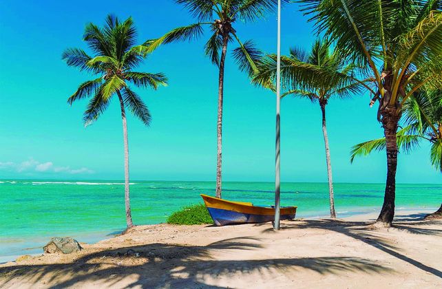 Más viajes y nuevos destinos: el mapa del turista rosarino