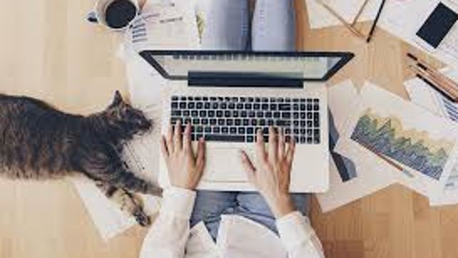El teletrabajo, un recurso que debe ser pasajero