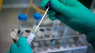 La ciudad de Santa Fe alcanzó los 31 días sin contagios de coronavirus