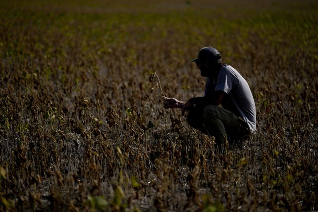 Golpe. La provincia fue una de las provincias más afectadas por la sequía en el país.