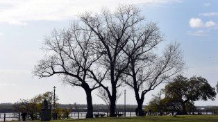 El tiempo en Rosario: un jueves caluroso y nublado que puede cerrar con lluvias